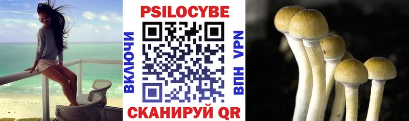 наркотики  OMG tor  Псилоцибиновые грибы Psilocybe  Армянск 